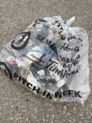 Hilary-Bald Park Litter