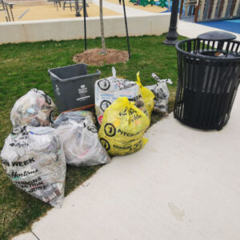 Litter at Rotary Park Lincoln